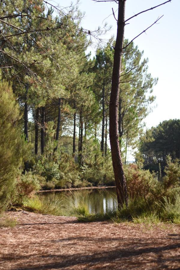 La Cachette Du Lac Lacanau Exteriér fotografie